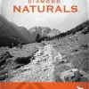 Diamond Naturals Extreme Athlete High-Protein Formula Dry Dog Food - 40 Lbs