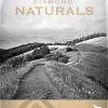 Diamond Naturals Light Weight Management Lamb and Rice Dry Dog Food