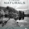 Diamond Naturals Senior Real-Meat Recipe with Cage-Free Chicken Dry Dog Food - 35 Lbs