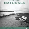 Diamond Naturals Small Breed Lamb & Rice Formula Adult Dry Dog Food