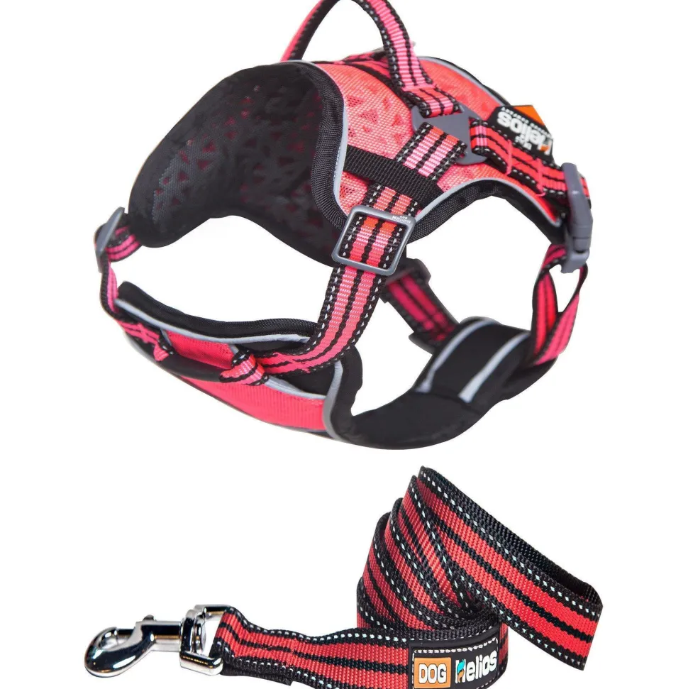 Dog Helios ® 'Journey Wander' Chest Compressive Sporty Adjustable Dog Harness and Leash