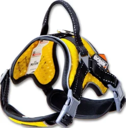 Dog Helios ® 'Scorpion' Sporty High-Performance Free-Range Dog Harness