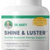 Dr. Marty Shine and Luster Chewable Dog Supplements - 60 Count
