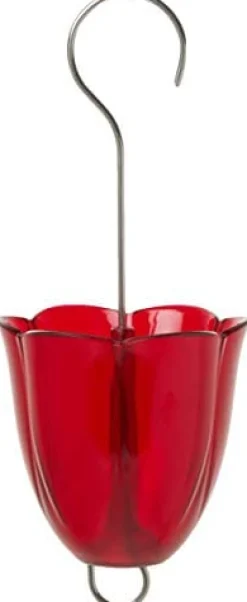 Droll Yankees Ant Moat for Hummingbird Feeders - Red - .75 Cup Cap
