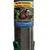 Droll Yankees New Generation Sunflower Tube Type Feeder Mixed Seed - Green - 1 Lb Cap