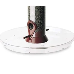 Droll Yankees Omni Seed Tray Wild Bird Accessories - Clear - 10.5 In