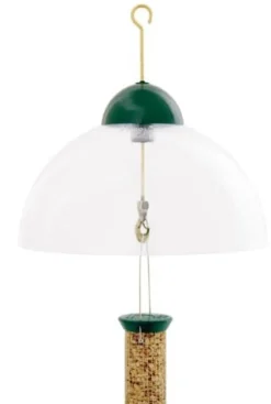 Droll Yankees Squirrel & Weather Guard Dome Wild Bird Accessories - Green - 15 In