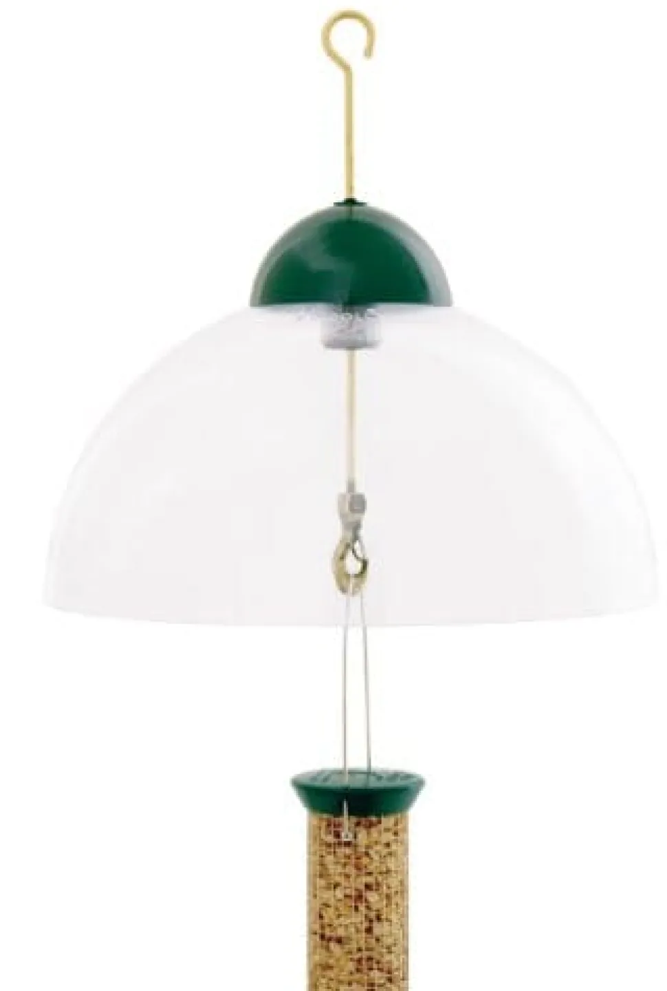 Droll Yankees Squirrel & Weather Guard Dome Wild Bird Accessories - Green - 15 In