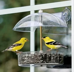 Droll Yankees Winner Window Seed Wild Bird Feeder - Clear - .5 Lbs Cap