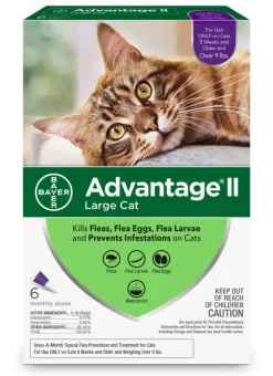 Elanco Advantage II Large Cat