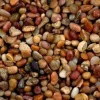 Estes Nature Blends Pebbles - Shallow Creek - 25 lb - Pack of 2