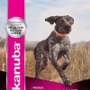 Eukanuba Premium Performance 30/20 Sport Dry Dog Food - 14 Lbs