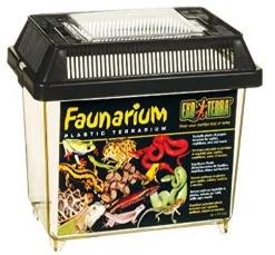 Exo Terra Faunarium All-Purpose Terrarium - 7" x 4" x 5"