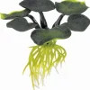 Exo Terra Floating Water Hyacinth