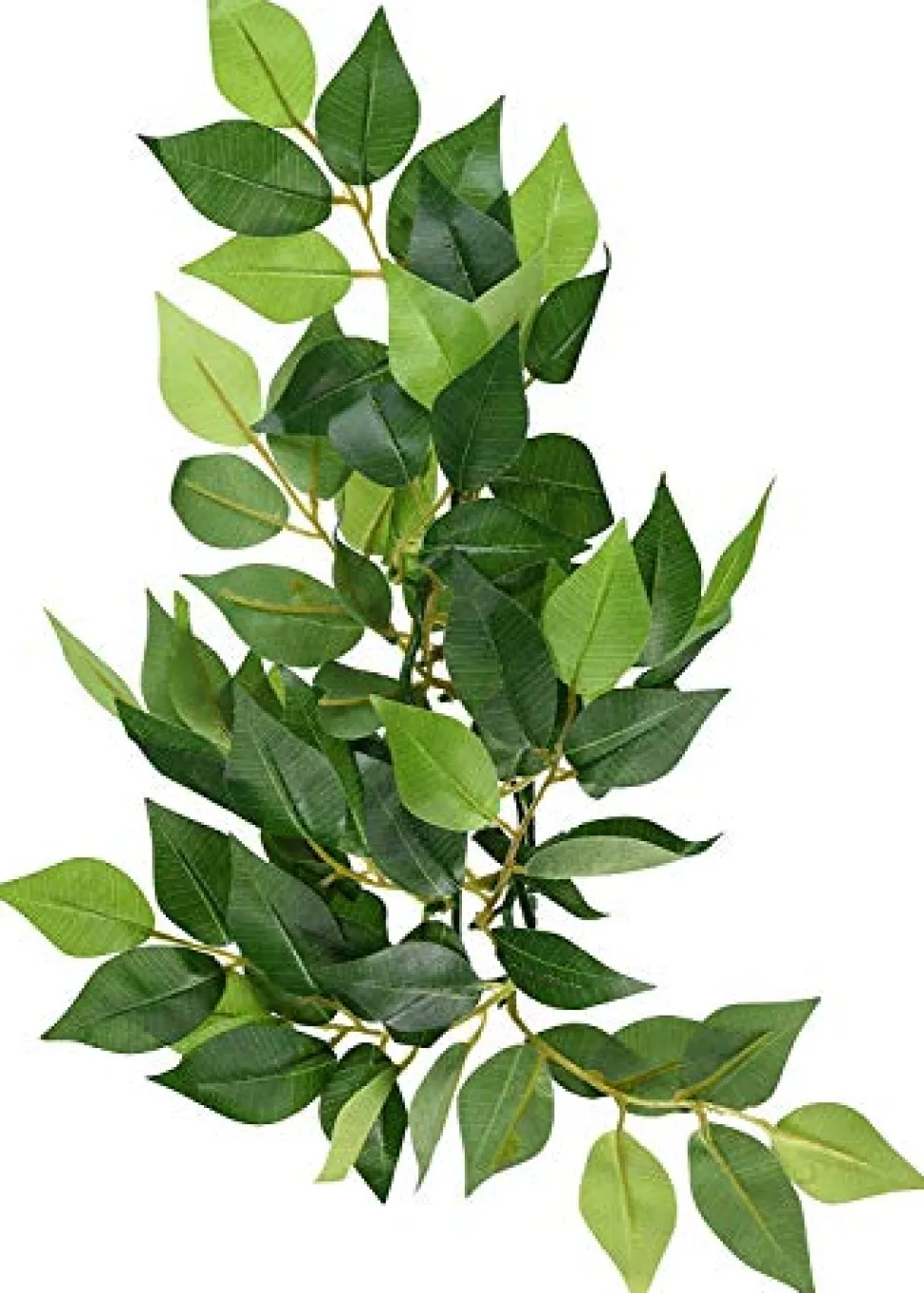Exo Terra Hanging Silk Ficus - Small
