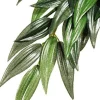 Exo Terra Hanging Silk Ruscus - Large