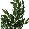 Exo Terra Hanging Silk Ruscus - Small