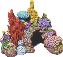Exotic Environments Caribbean Living Reef Resin Aquatics Decoration - Mini