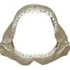 Exotic Environments Great White Shark Jaws Resin Aquatics Decoration - Gray - Small