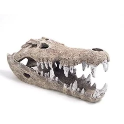Exotic Environments Nile Crocodile Skull Resin Aquatics Decoration