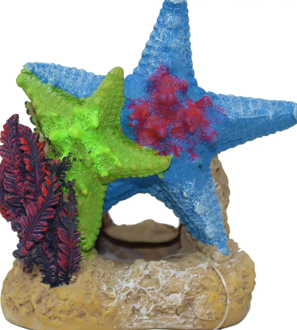 Exotic Environments Sea Star Duo with Plant Resin Aquatics Decoration - 4.5 X 3 X 4.5 In