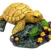 Exotic Environments Sea Turtle Resin Aquatics Decoration - Small