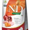 Farmina Grain-Free Pumpkin Chicken & Pomegranate Puppy Medium and Maxi Dry Dog Food - 5.5 lb Bag