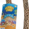 Florida Marine Research Hermit Crab Choya Wood - Brown - Large