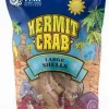 Florida Marine Research Natural Shell Terrarium Ornament Multi-Color - 2 Pack - Large