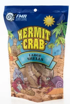 Florida Marine Research Natural Shell Terrarium Ornament Multi-Color - 2 Pack - Large