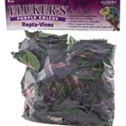 Fluker's Repta-Vines - Purple Coleus - 6"