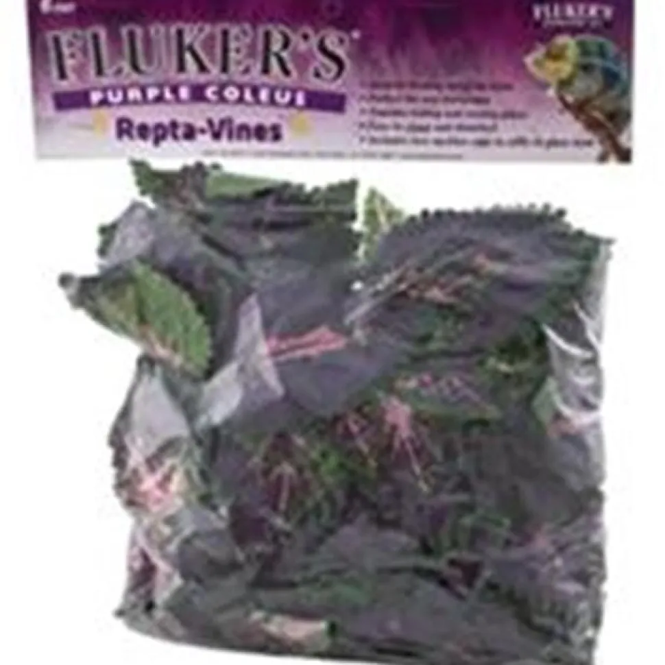 Fluker's Repta-Vines - Purple Coleus - 6"