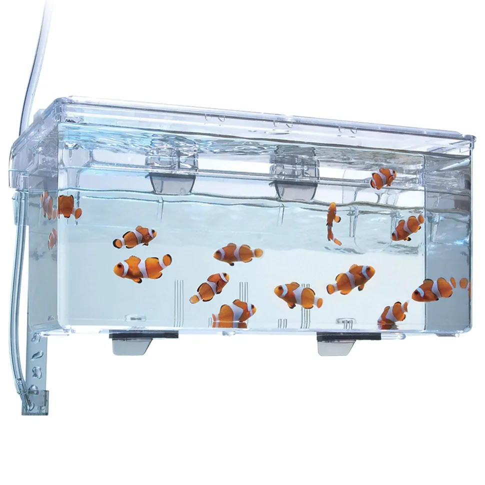 Fluval Multi-Chamber Holding & Breeding Box - Large