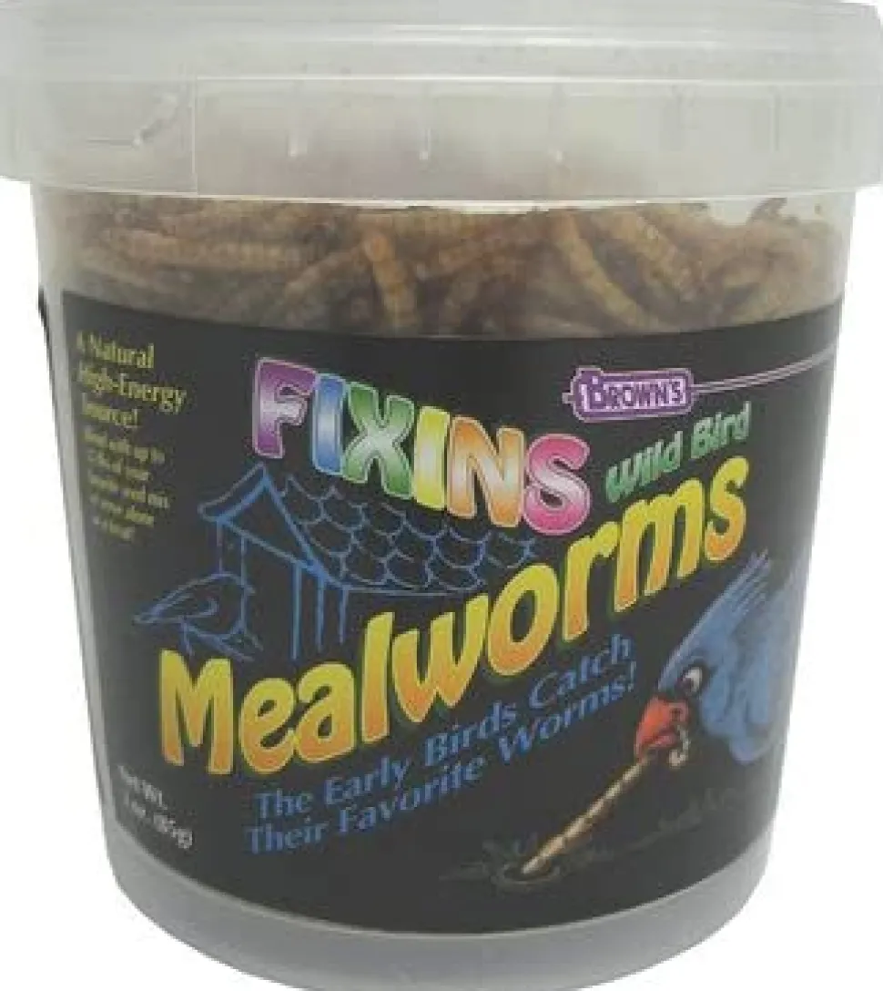 F.M. Brown's Mealworms Fixins Wild Bird Food - 3 oz