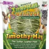 F.M. Brown's Natural Timothy Hay Small Animal Bedding - 24 oz