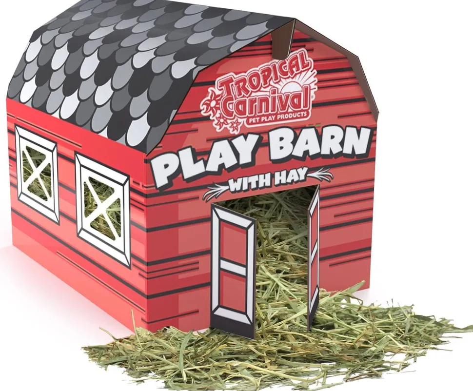 F.M. Brown's Small Play Barn with Hay Small Animal Bedding - 3 oz