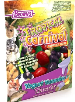 F.M. Brown's Tropical Carnival Yogurt Yummies Small Animal Treats - 3 oz