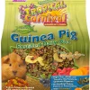 F.M. Brown's Tropical Carnival Natural Guinea Pig Gourmet Small Animal Food - 4 lb Bag
