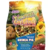 F.M. Brown's Tropical Carnival Guinea Pig Gourmet Small Animal Food - 5 lb Bag