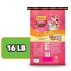 Friskies Gravy Swirlers Chicken & Salmon Flavor Dry Cat Food