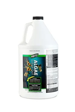 Fritz Algae Clean Out - 1 gal