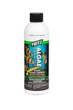 Fritz Algae Clean Out - 8 oz