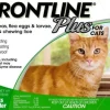 Frontline Plus Flea and Tick Treatment for Cats and Kittens - Green - 3 Pack