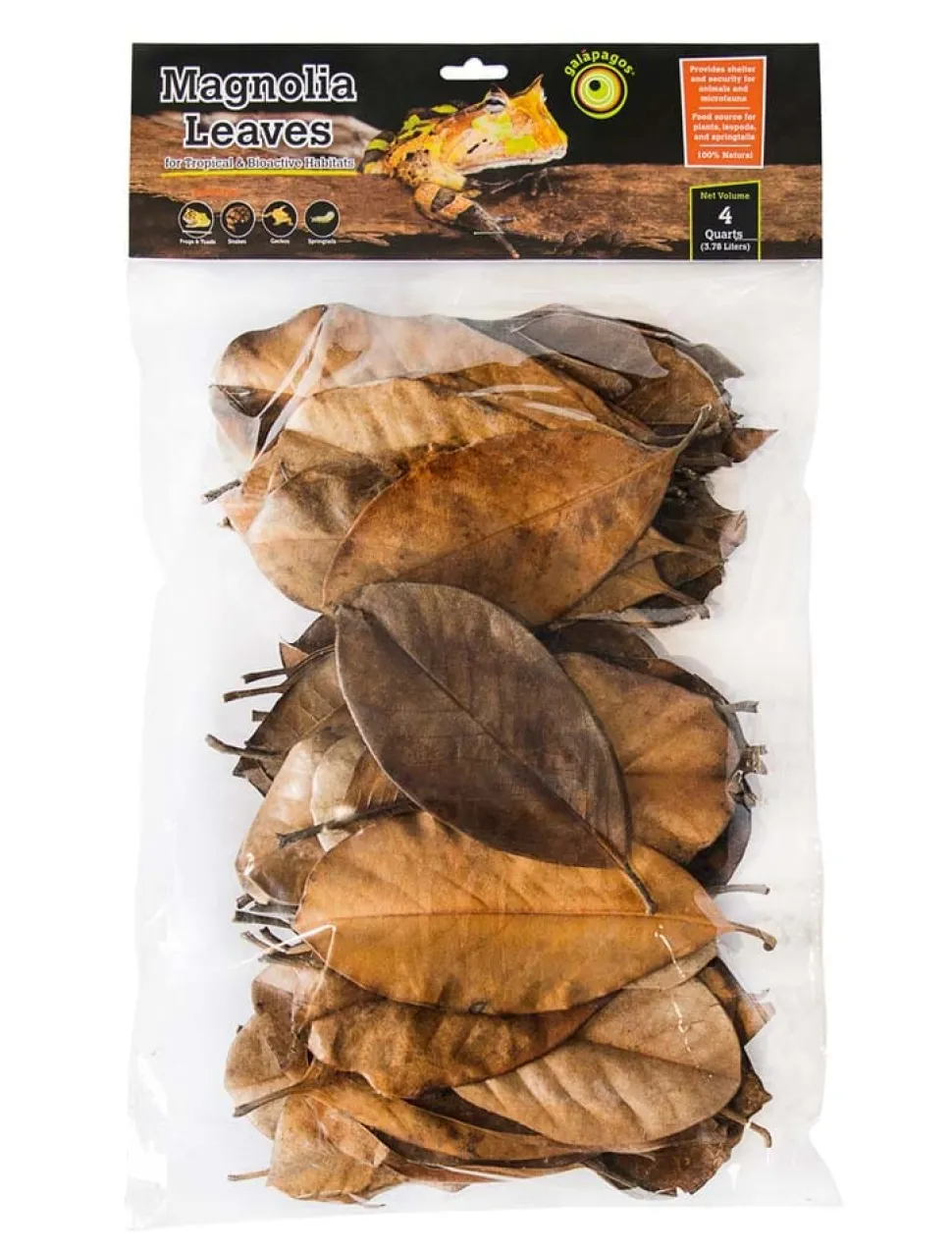 Galapagos Magnolia Leaves for Tropical & Bioactive Habitats - Brown - 4 qt