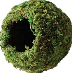 Galapagos Mossy Cave Terrarium Hideaway - Fresh Green - 4 in