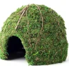 Galapagos Mossy Dome Terrarium Hideaway - Fresh Green - 9 in