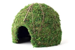 Galapagos Mossy Dome Terrarium Hideaway - Fresh Green - 9 in