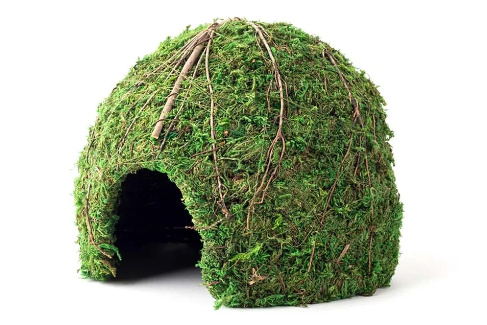Galapagos Mossy Dome Terrarium Hideaway - Fresh Green - 9 in