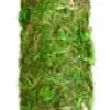 Galapagos Mossy Perch Terrarium Ornament - Fresh Green - 24 in