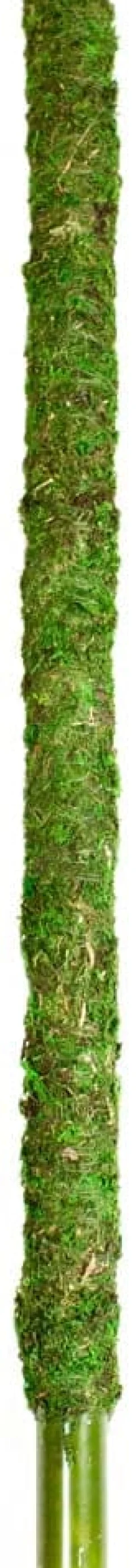 Galapagos Mossy Perch Terrarium Ornament - Fresh Green - 24 in